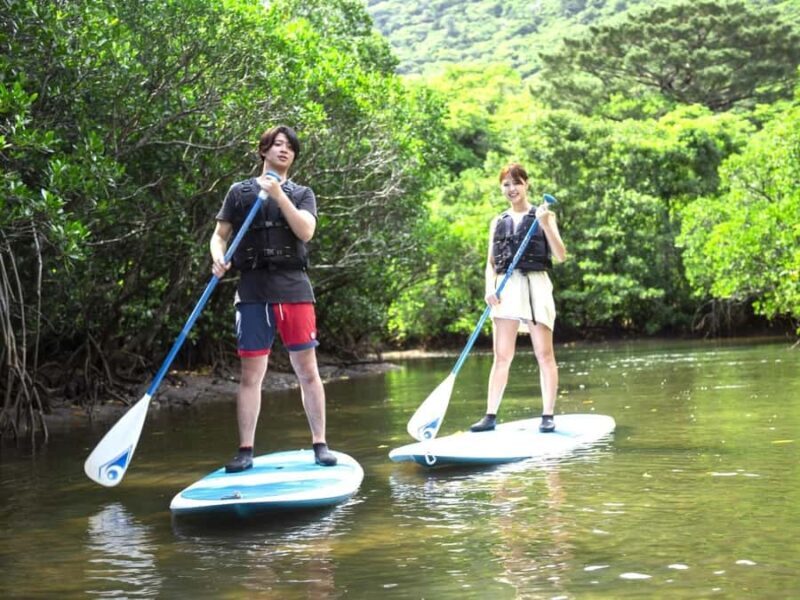 Iriomote island: Mangrove River SUP or Canoe Cruising Tour - Final Thoughts: A Nature Lover’s Dream