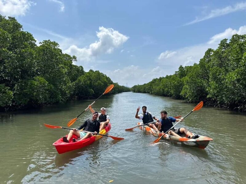 Iriomote island: Mangrove River SUP or Canoe Cruising Tour - FAQ