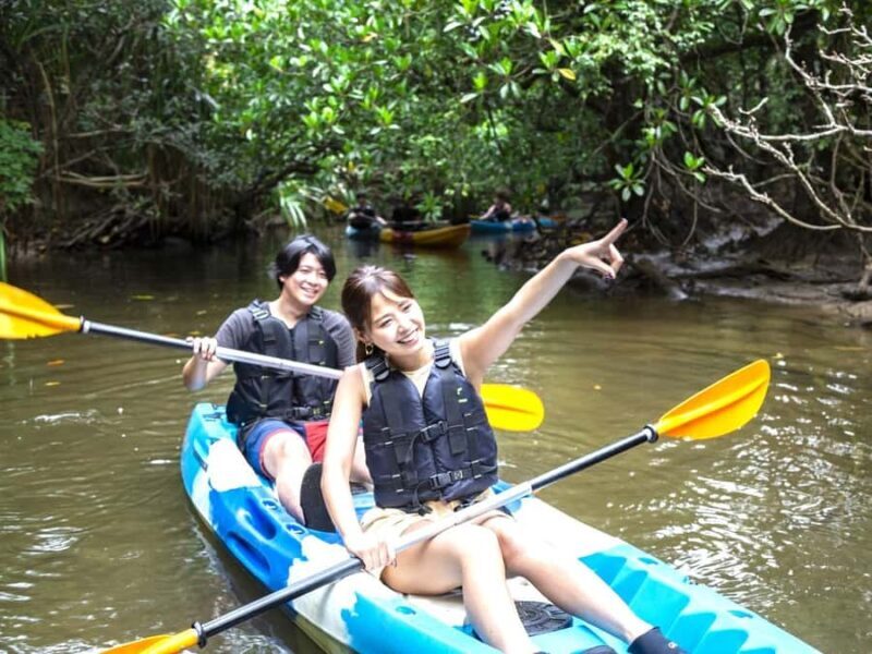 Iriomote island: Mangrove River SUP or Canoe Cruising Tour - Introduction: Why Paddling Through Iriomote’s Mangroves Is Special