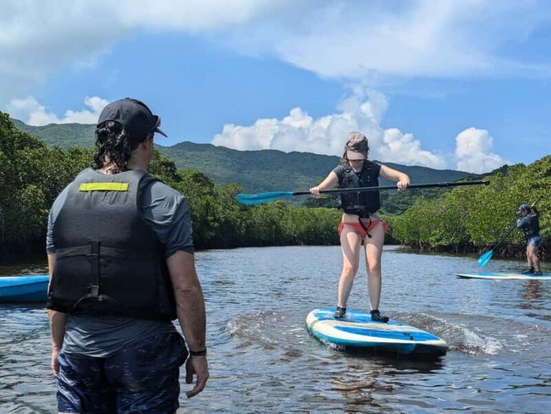 Iriomote island: Mangrove River SUP or Canoe Cruising Tour - The Experience in Detail: From Meeting to Return