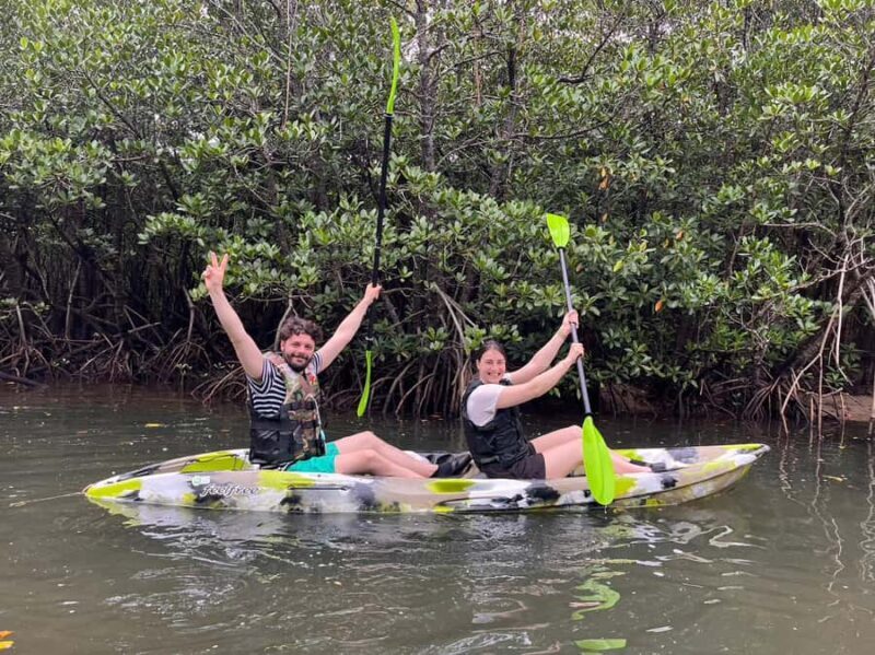 Iriomote island: Mangrove River SUP or Canoe Cruising Tour - Practical Tips for a Smooth Experience