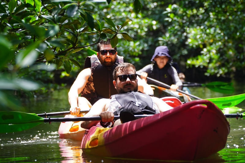Iriomote Island Mangrove SUP or Canoe Half-Day Experience (Okinawa) - What mangrove paddling feels like on Iriomote