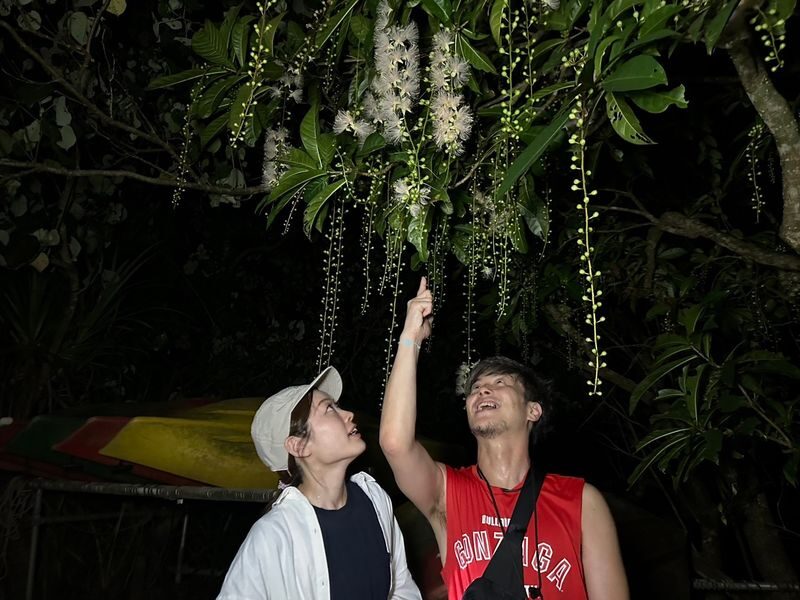 Iriomote Island Phantom Flower "Sagaribana" Viewing Tour: A Mysterious and Spectacular View that Blooms at Night and Scatters in the Morning [Limited Time: June to August] - Who should book this Iriomote flower tour?