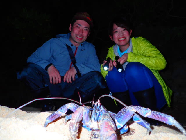 Iriomote Island Stargazing & Jungle Night Tour (Okinawa) - Guides, language, and the value of local eyes