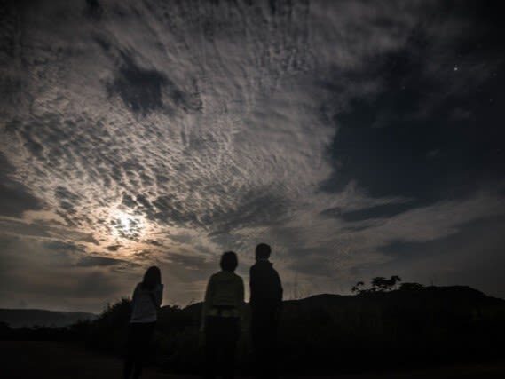 Iriomote Island Stargazing & Jungle Night Tour (Okinawa) - What the price includes, and what it does not