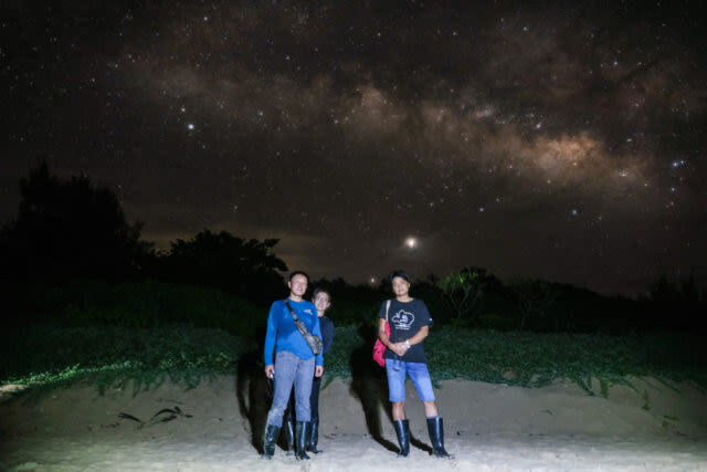 Iriomote Island Stargazing & Jungle Night Tour (Okinawa) - Is this night tour right for you?