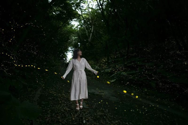 Iriomote Island: Sunset & Yaeyama Hime Firefly Watching Tour [Limited Time: March - May] - From Uehara to the viewing spot