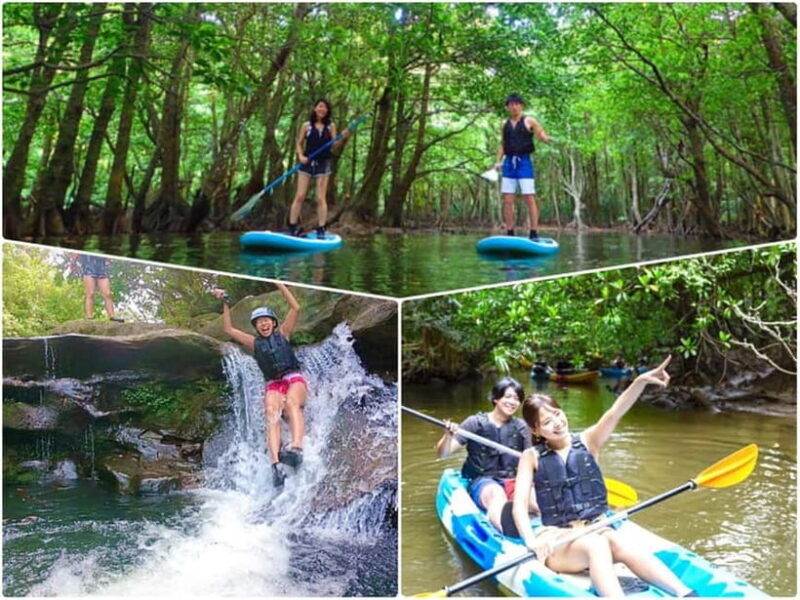 Iriomote Island: SUP or Canoeing and Canyoning Tour - How Good Is the Value?
