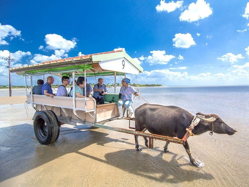 Iriomote Island: Yubu Island Sightseeing & Customizable 1-Day Experience (SUP or Canoe/Snorkeling/Canyoning) - What makes this day worth considering