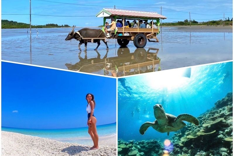 Iriomote Island: Yubu Island Sightseeing & Customizable 1-Day Experience (SUP or Canoe/Snorkeling/Canyoning) - Two sides of Iriomote in one day