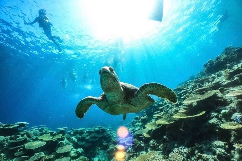 Iriomote Island: Yubu Island Sightseeing & Customizable 1-Day Experience (SUP or Canoe/Snorkeling/Canyoning) - A shower stop, then time to refuel