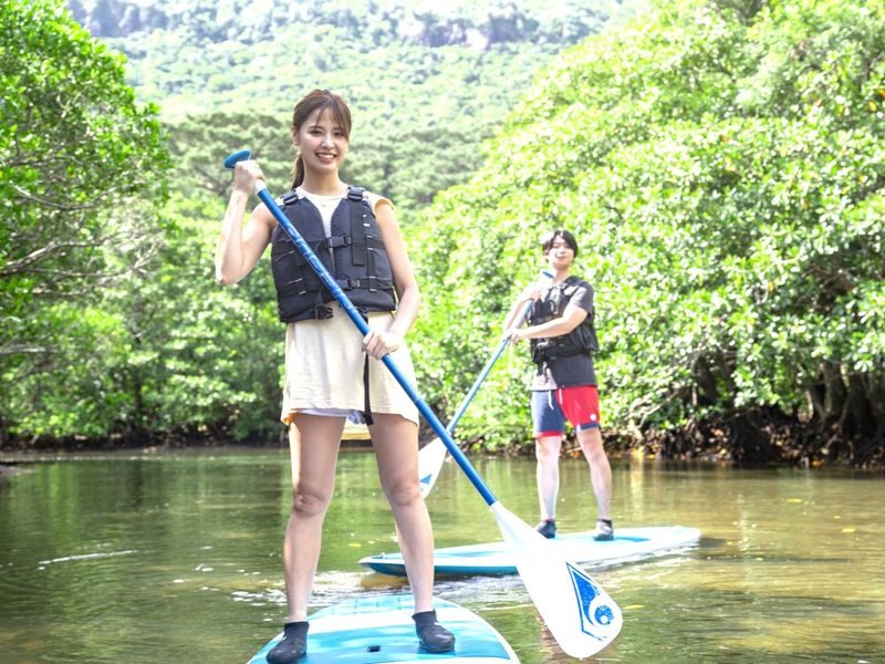 Iriomote Island: Yubu Island Sightseeing & Customizable 1-Day Experience (SUP or Canoe/Snorkeling/Canyoning) - Who will get the most from this tour?