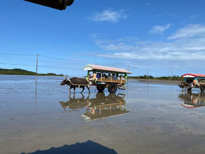 Iriomote: Mangrove Canoe and Yubujima Sightseeing Tour! - Highlights of the Adventure