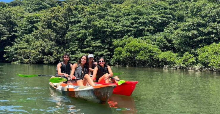 Iriomote Mangrove River Canoe and Snorkeling at Coral Island - Pricing and Booking Information
