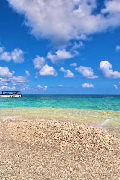 Iriomote Mangrove River Canoe and Snorkeling at Coral Island - Customer Feedback and Ratings