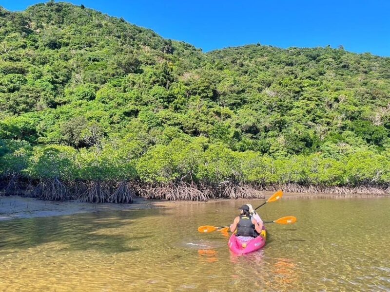 Iriomote Mangrove SUP and Snorkeling at Coral island - Frequently Asked Questions