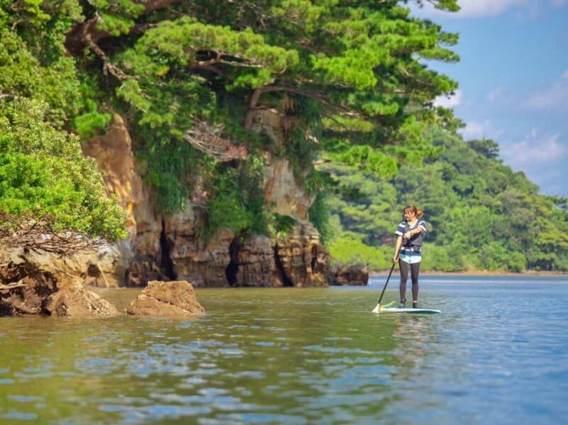 Iriomote Mangrove SUP and Snorkeling at Coral island - Final Thoughts