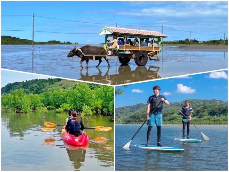 Iriomote: Mangrove SUP or Canoe and Yubujima sightseeing - Authentic Insights from Travelers