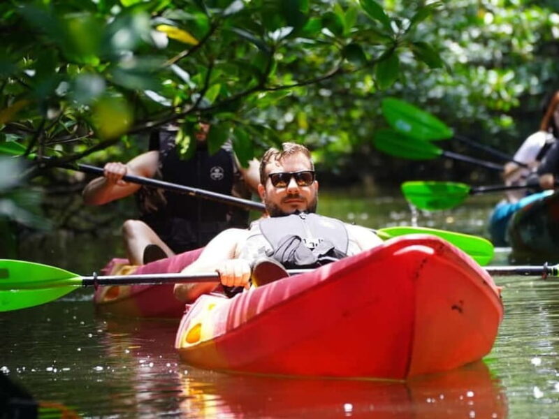 Iriomote: Mangrove SUP or Canoe and Yubujima sightseeing - Good To Know