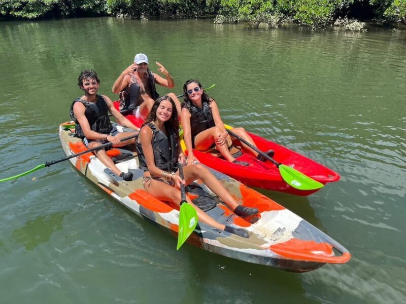 Iriomote: Mangrove SUP or Canoe and Yubujima sightseeing - Authentic Reviews & Insights