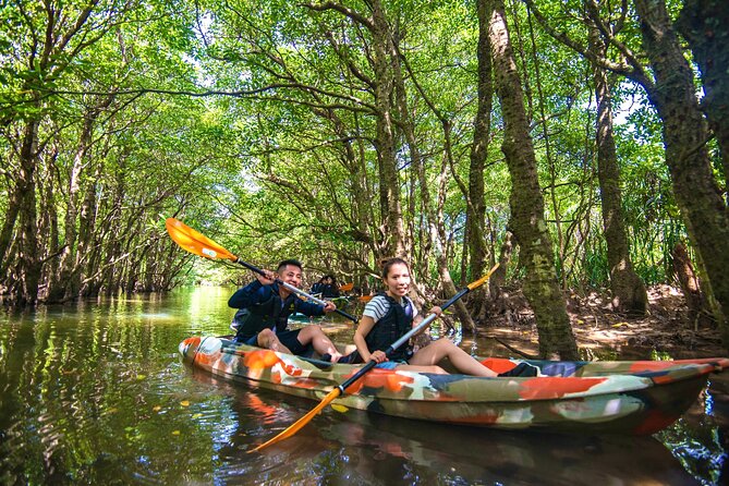 [Iriomote] SUP / Canoe Tour at Mangrove Forest Sightseeing in Yubujima Island - Tour Highlights