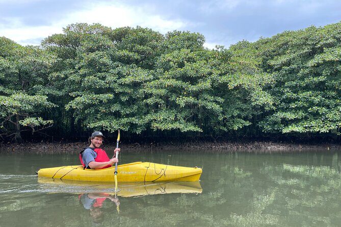 Iriomotes Adventure: Pinaisara Falls Canoe and Trekking Tour - Who Will Love This Tour?