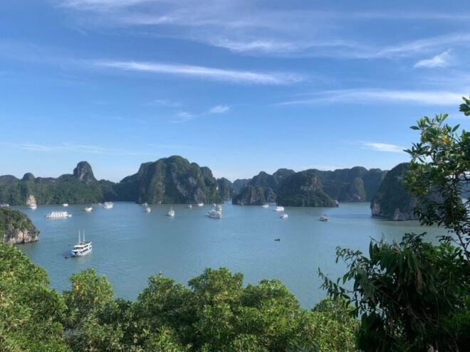 Iris Cruise Halong Bay 1 Day Luxury Tour - Activities
