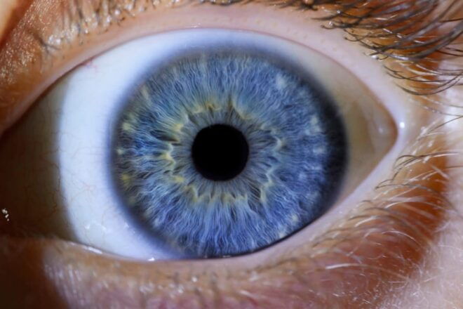 IRIS Photography (Macro Photo of Your Eye) - Group Experience Options