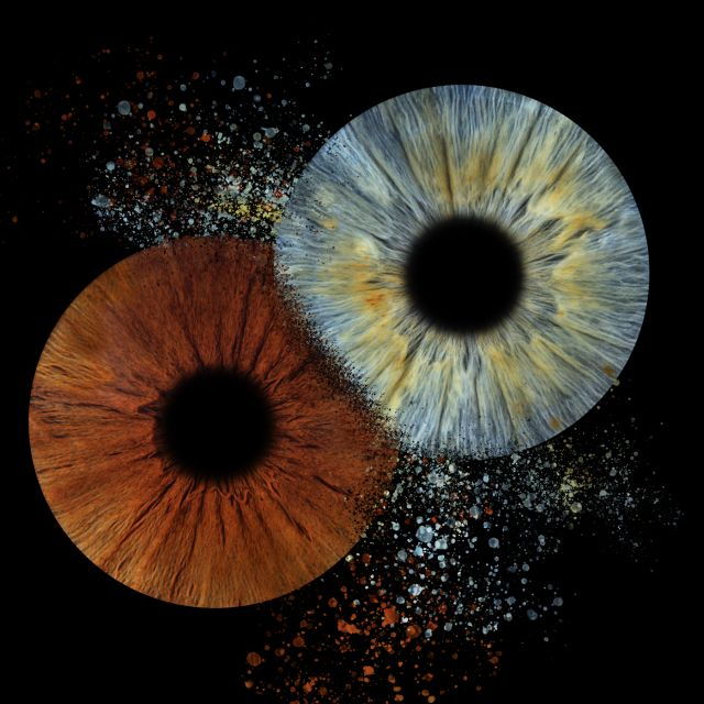 Iris Shooting-Impression Photo - Activity Details