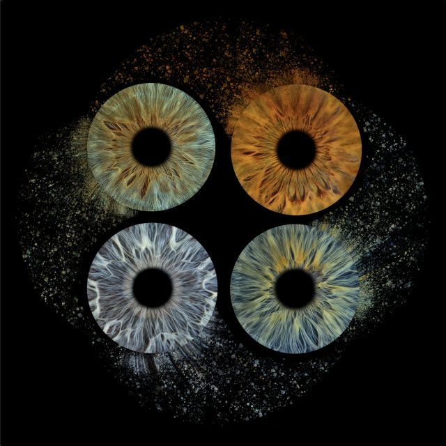 Iris Shooting-Impression Photo - Experience Highlights