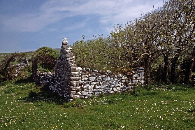Irish Famine Museum / Exhibition Dublin - Traveler Photos and Visual Experience