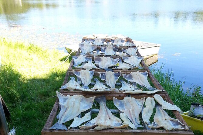 Irish Loop to Ferryland Tour - An In-Depth Look at the Irish Loop to Ferryland Tour