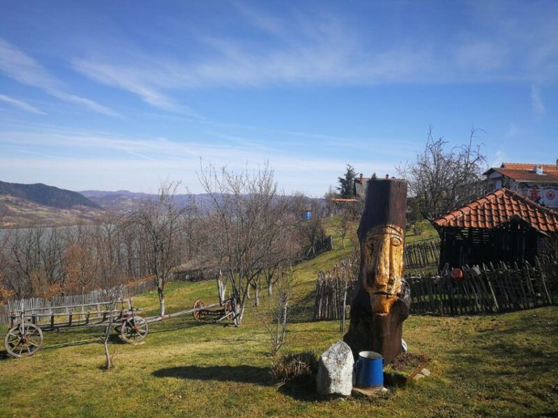 Iron Gate Tour: Golubac Fortress, Lepenski Vir+National Park - Practical Details & Value