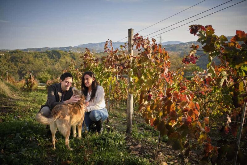 Irpinia Wine Tasting Experience - Good To Know