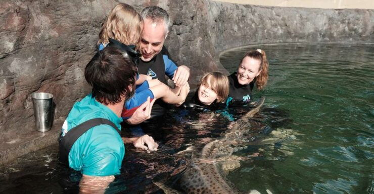 Irukandji Entry Pass & Zebra Shark Encounter - Booking and Logistics