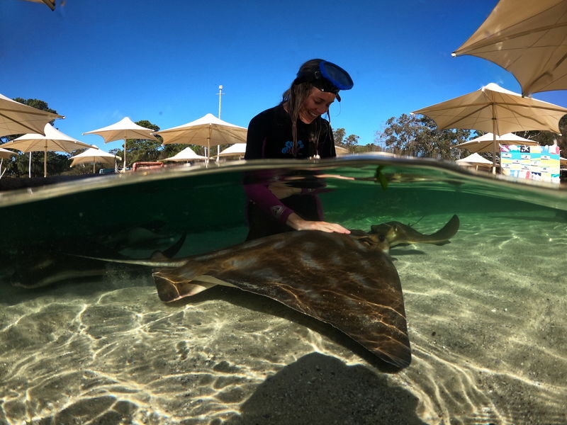 Irukandji Shark & Ray Encounters Ticket - What to know before you go