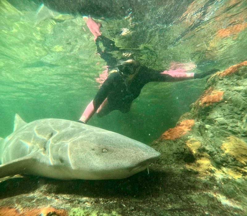 Irukandji Shark & Ray Encounters Ticket - A typical one-to-two-hour visit