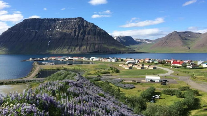 Ísafjörður: Flateyri Village tour: Local Culture & History - Good To Know