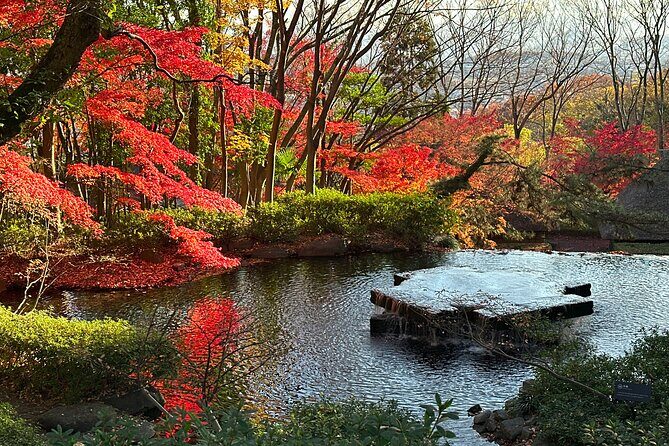 Isamu Noguchi Museum and Japanese Sweets Workshop by Car - Who Would Love This Tour?  