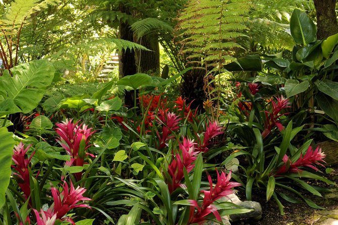 Ischia and La Mortella Gardens - Visit Duration and Details