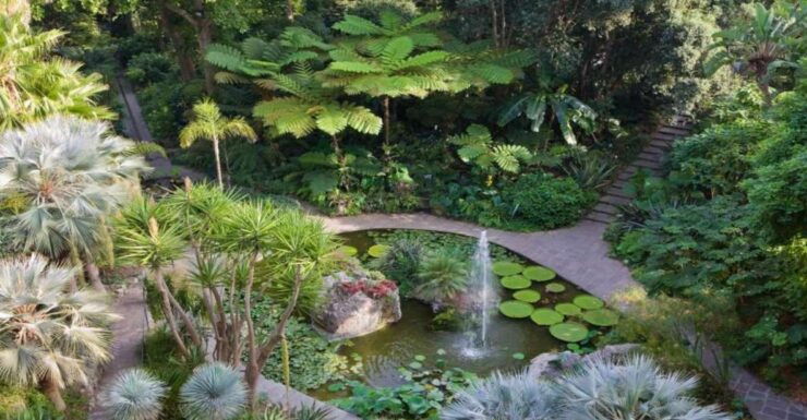 Ischia and Mortella Gardens Full-Day Tour From Sorrento - Experience Highlights