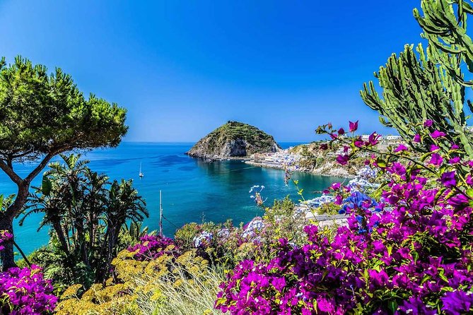 Ischia and Procida Boat Tour From Sorrento - Expectations and Requirements