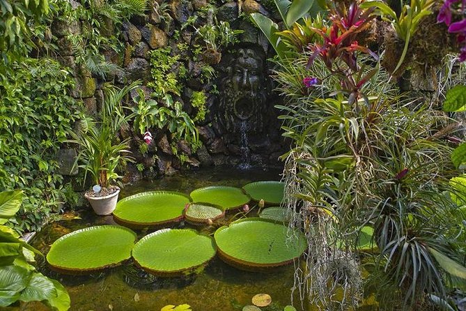 Ischia and Procida Boat Tour: Small Group From Sorrento - Important Information for Travelers