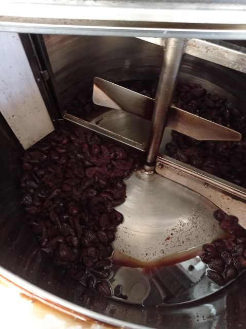 Ischia: Distillery Tour With Tasting of Artisanal Products - Distillerie Aragonesi Location