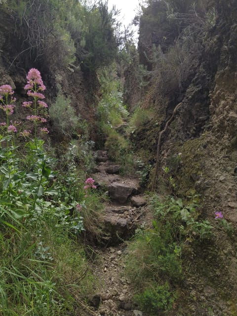 Ischia: East Coast Hike, Bays and Sunken Volcanoes - Lunch Stop