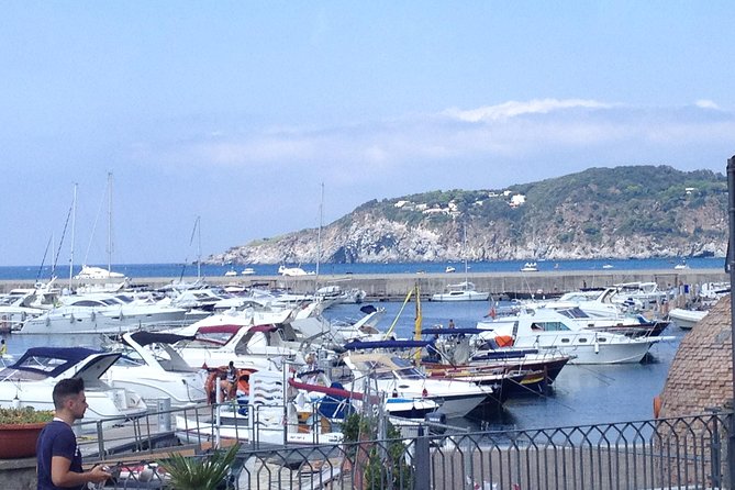 Ischia Food Tastings & Sightseeing: Private Day Trip From Naples Port - Itinerary Overview