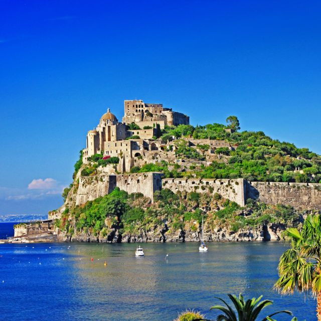 Ischia Island Discovery & Food Tour From Sorrento - Activity Description