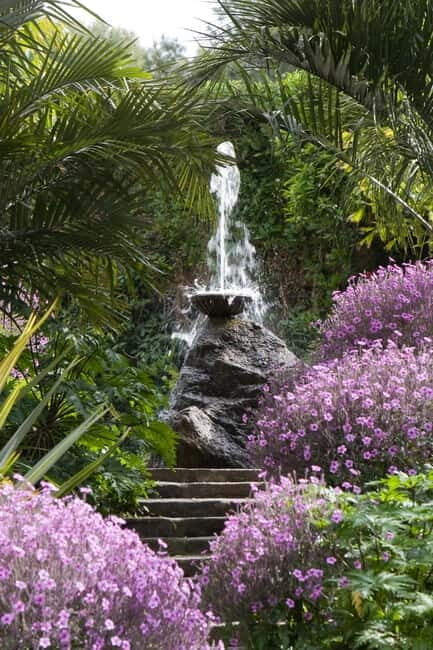 Ischia: La Mortella Gardens Trip with Optional Lunch - An Authentic Look at La Mortella Gardens