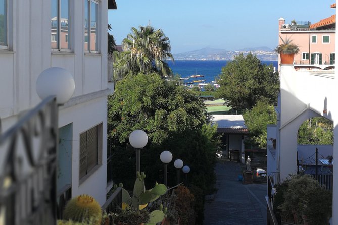 Ischia Private Day Trip From Sorrento With Local Guide and Driver - Reviews