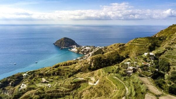 Ischia: Sant'angelo and Maronti With Transfers From Naples - Customer Feedback and Ratings
